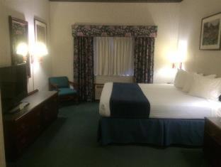 Queen Room with Two Queen Beds - Pet Friendly/Non-Smoking - Photo 8