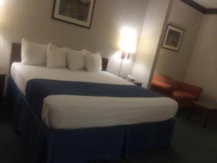 Queen Room with Two Queen Beds - Pet Friendly/Non-Smoking - Photo 9