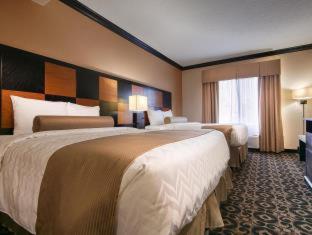 King Suite with Sofa - Pet Friendly/Non-Smoking photo 2