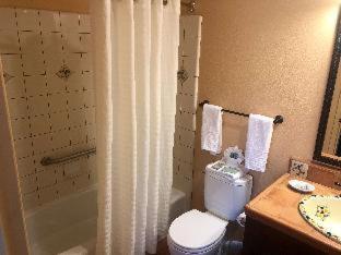Queen Room - Disability Access Tub - Photo 15
