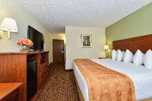 Large King Room - Non-smoking - Photo 1