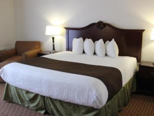 Large King Room with Sofa Bed and Balcony - Non-Smoking - Photo 9