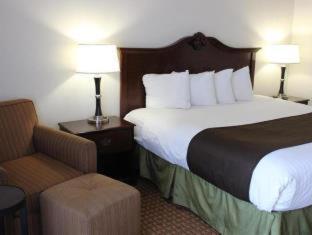 Large King Room with Sofa Bed and Balcony - Non-Smoking - Photo 5
