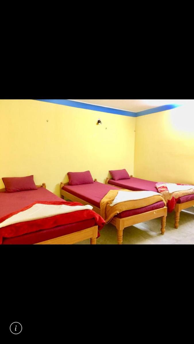 Bed in 4-Bed Male Dormitory Room photo 3