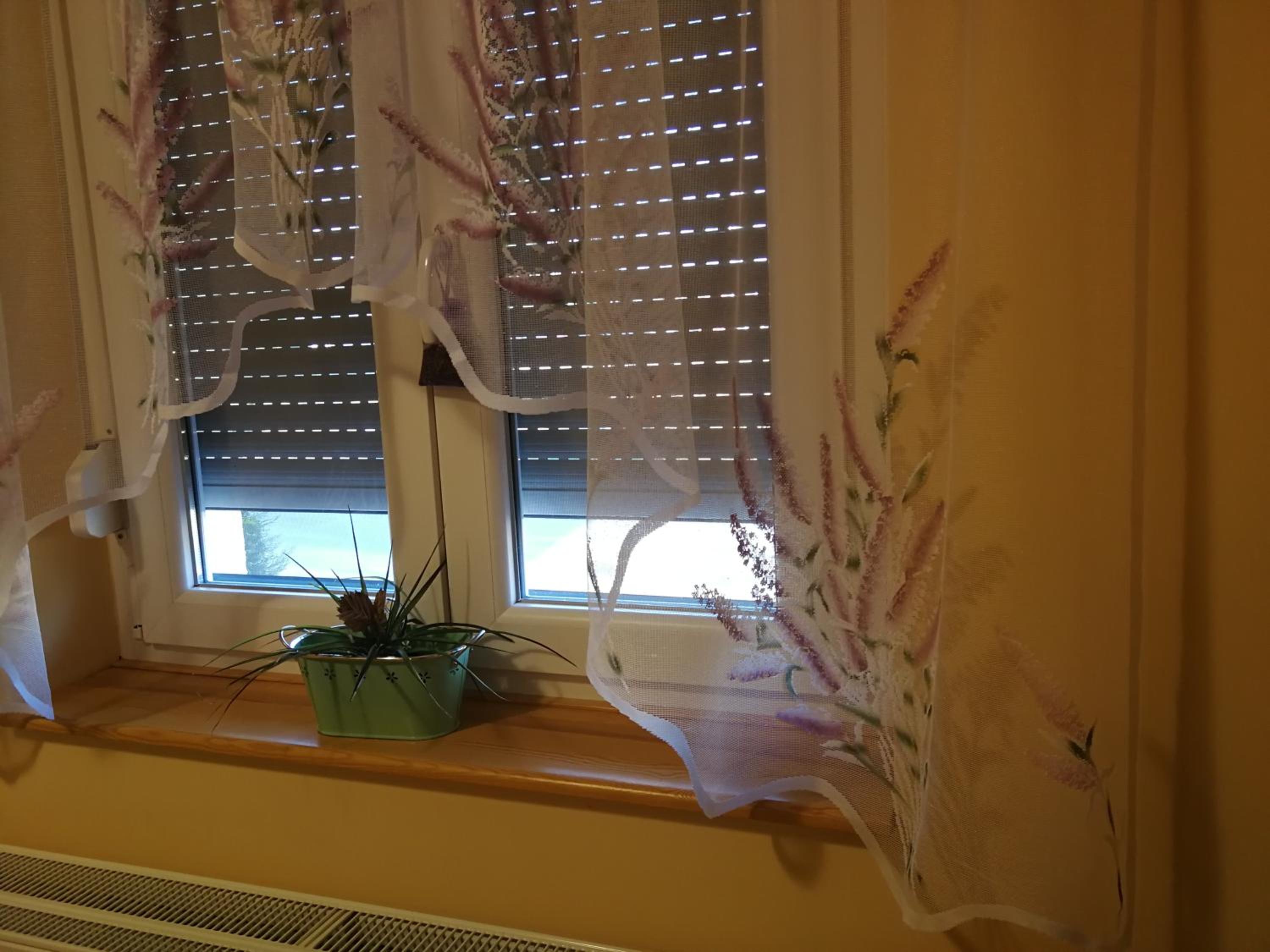 Family Room with Bathroom photo 3