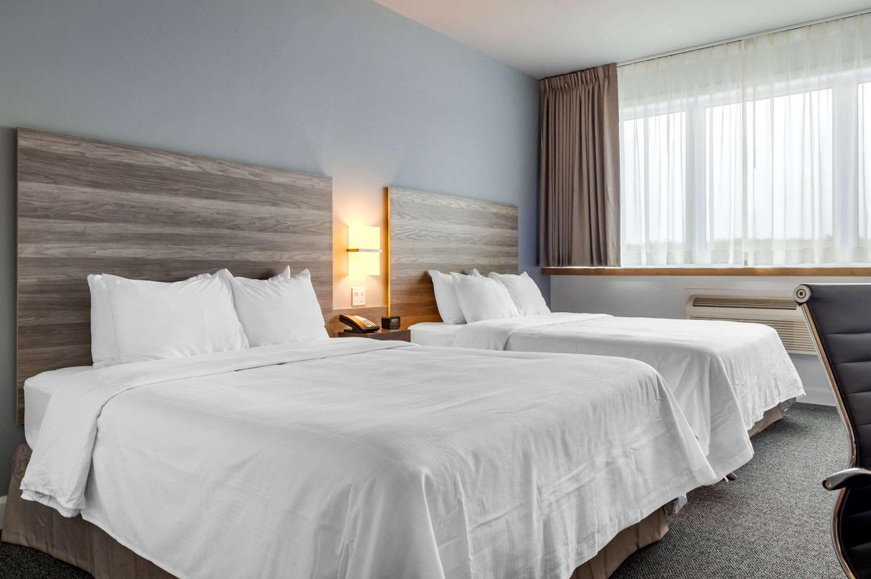 Standard Queen Room with Two Queen Beds - Non-Smoking - Photo 1