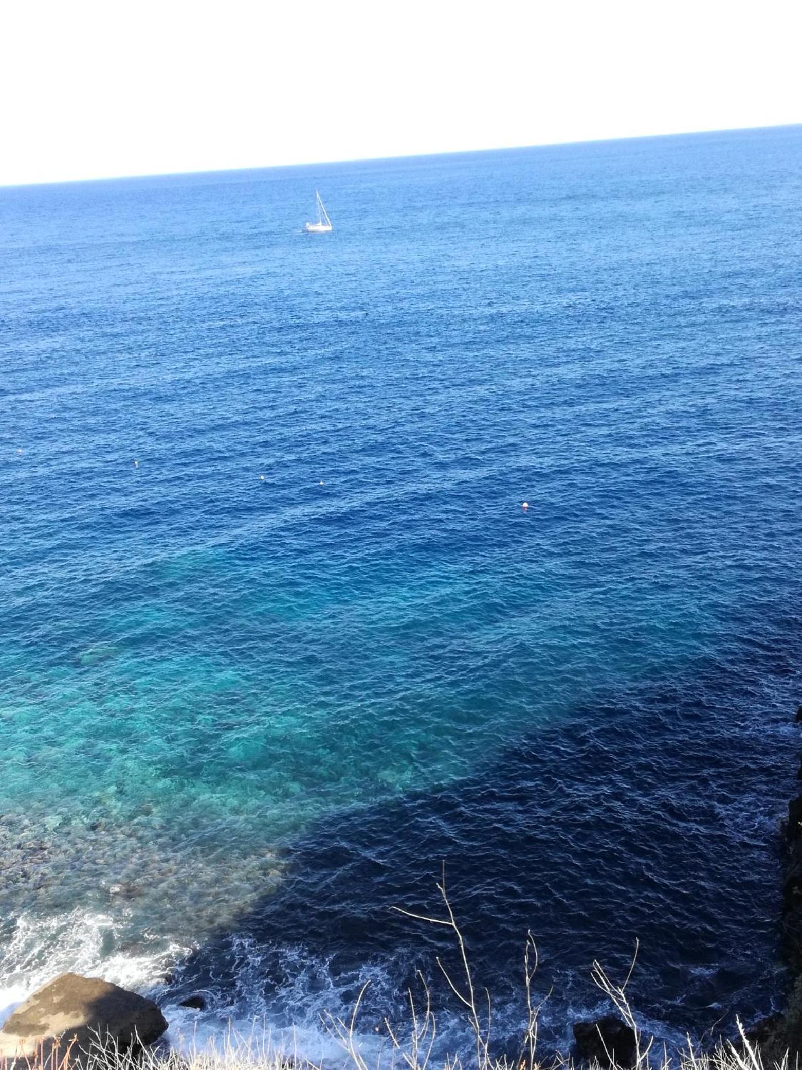 Apartment with Sea View photo 2