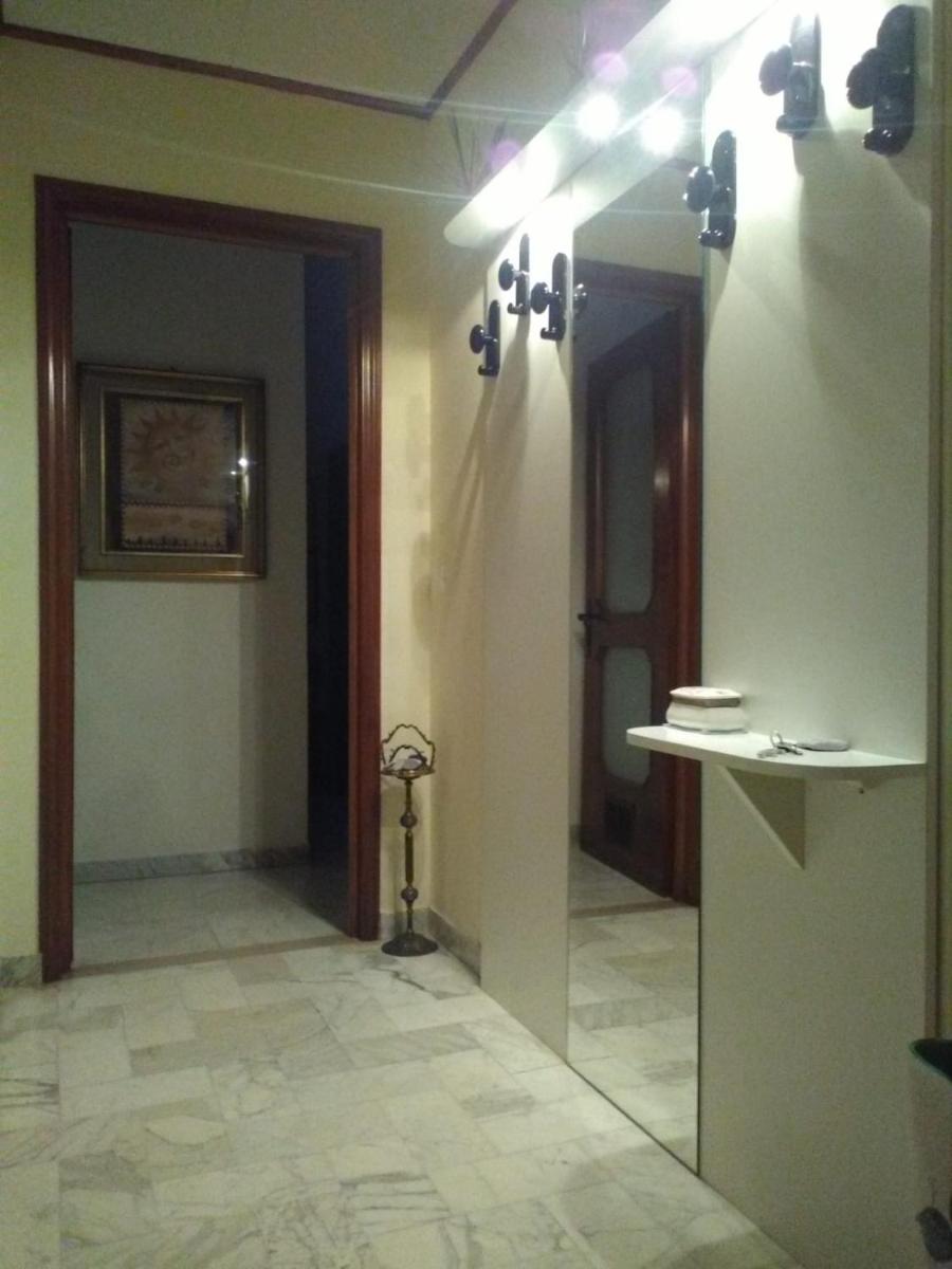 Apartment with Terrace photo 3