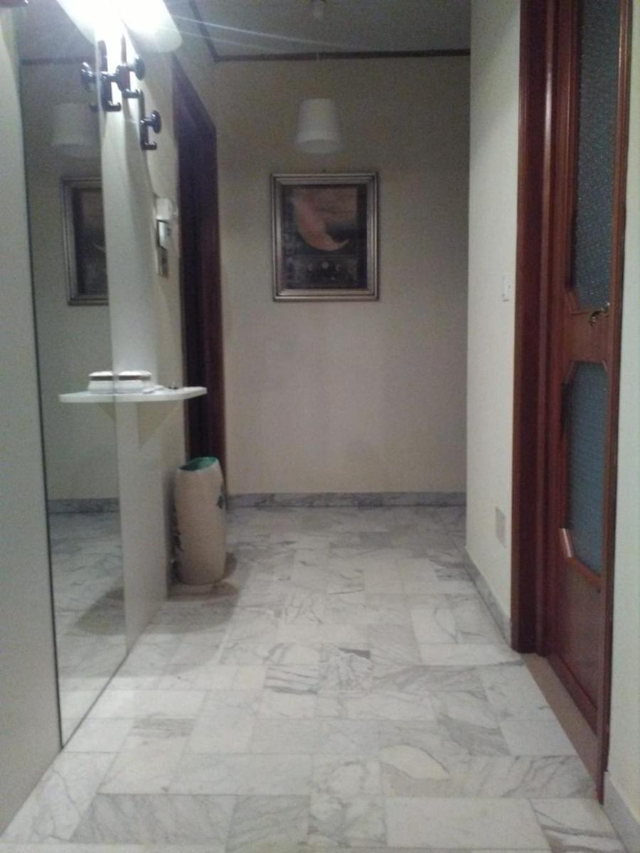 Apartment with Terrace photo 2