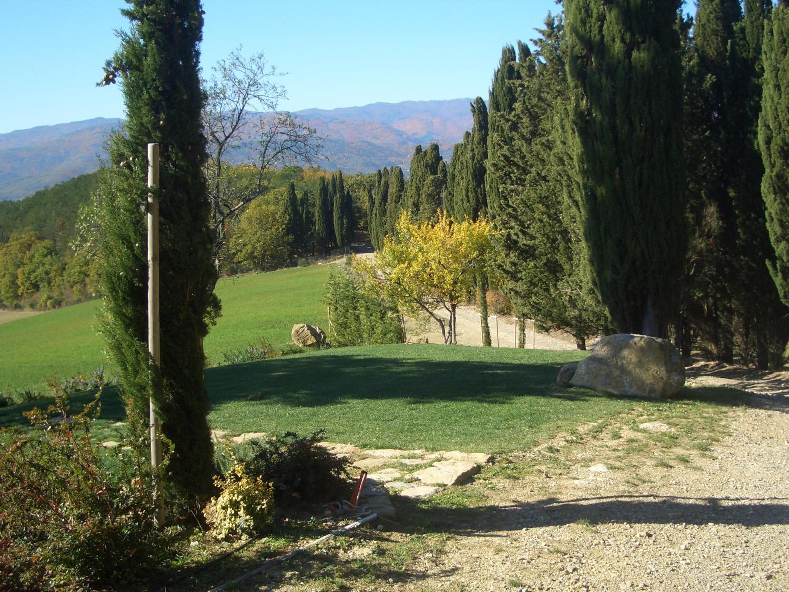 Five-Bedroom Villa - Split Level  - Photo 15