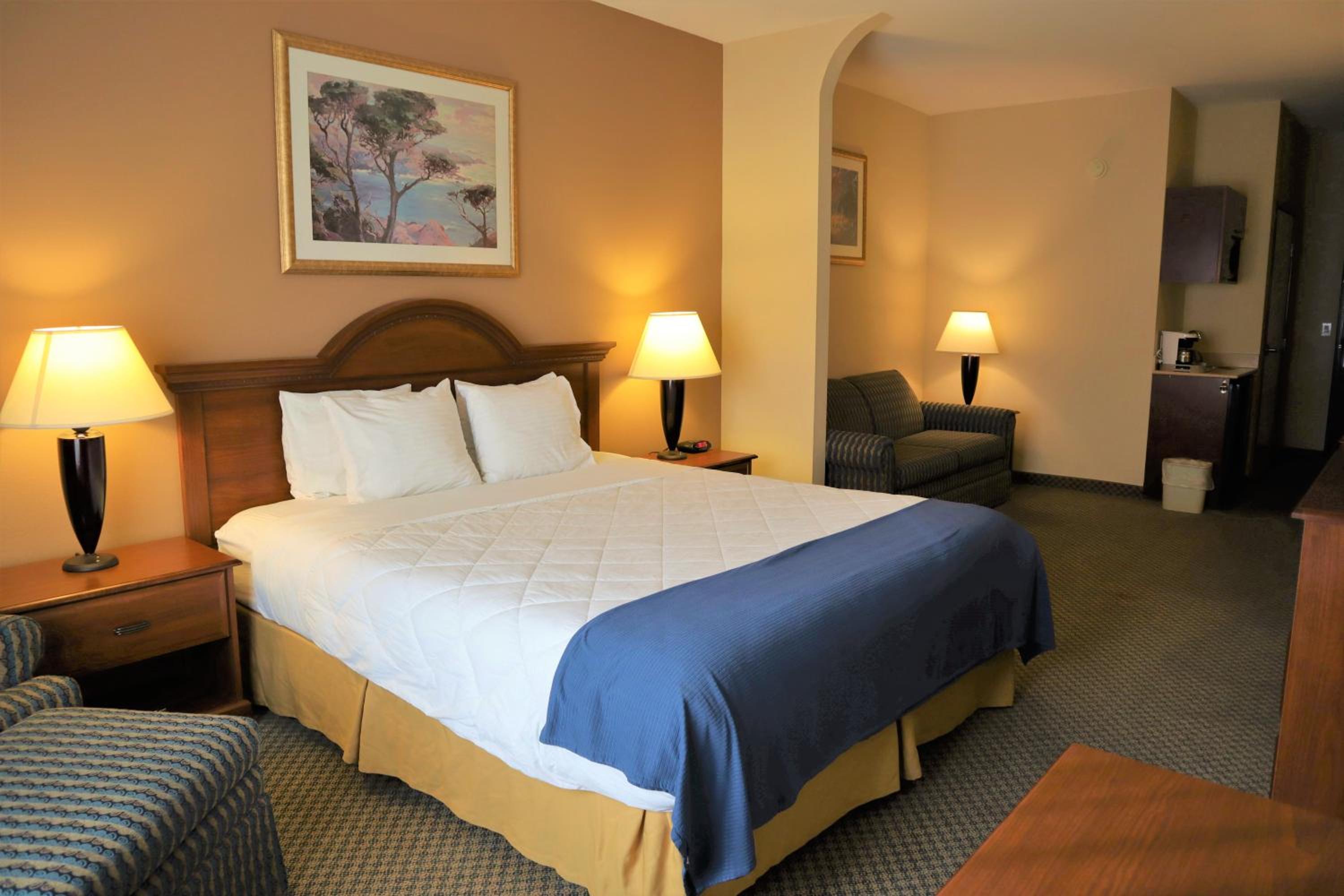 King Suite with Sofa Bed - Non-Smoking - Photo 2
