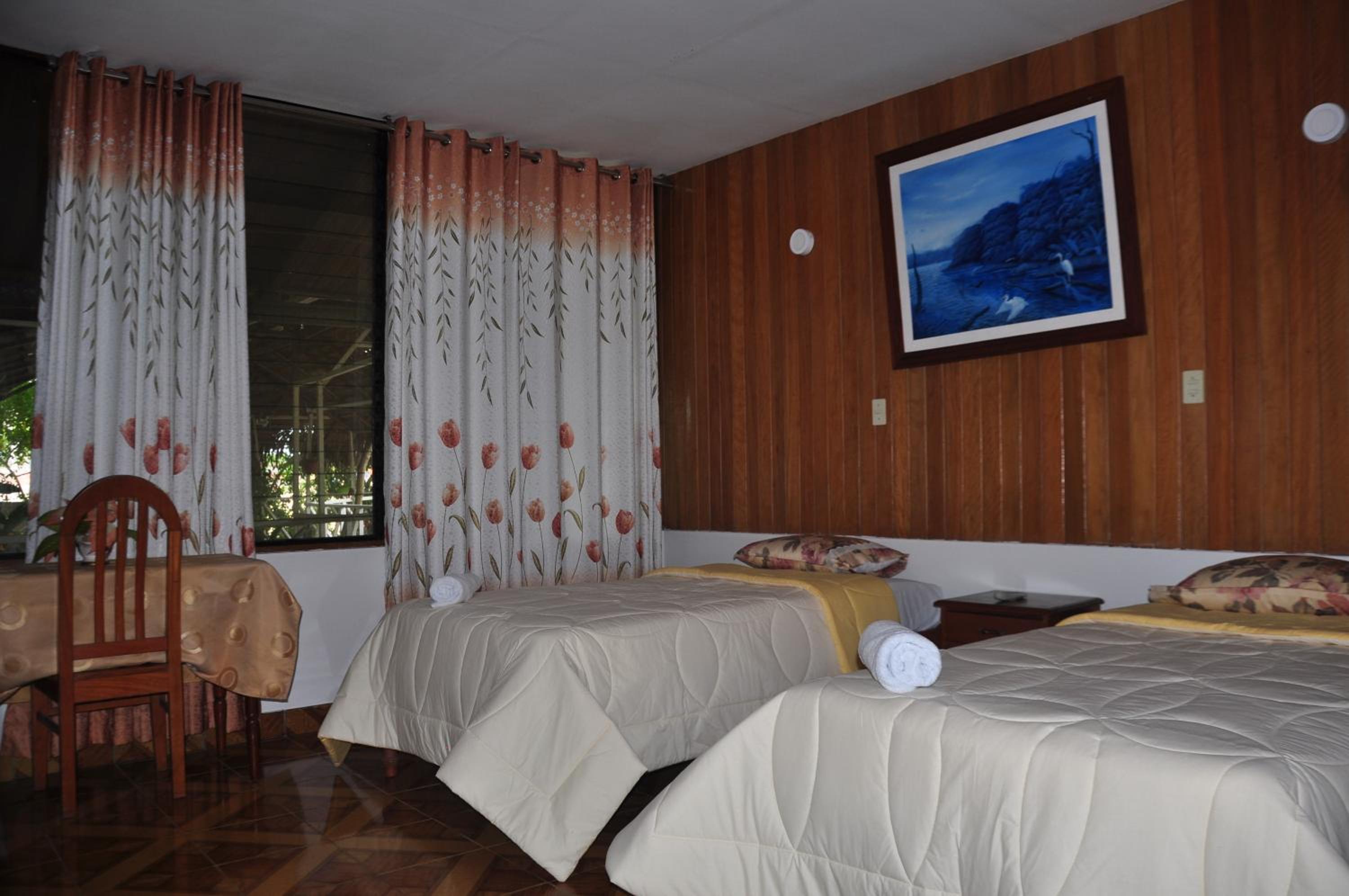 Twin Room photo 2