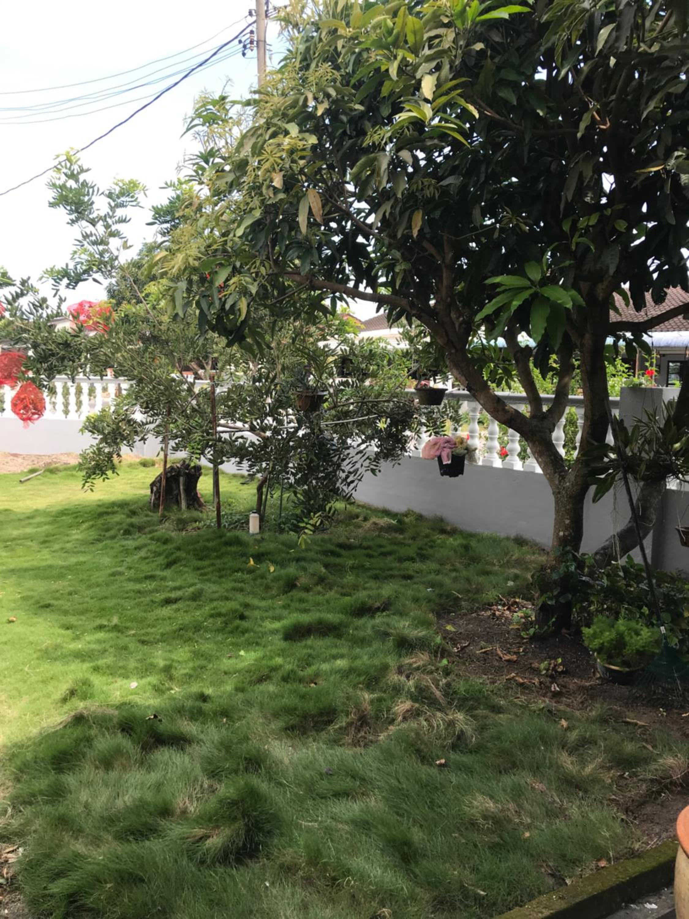 Bungalow with Garden View photo 2