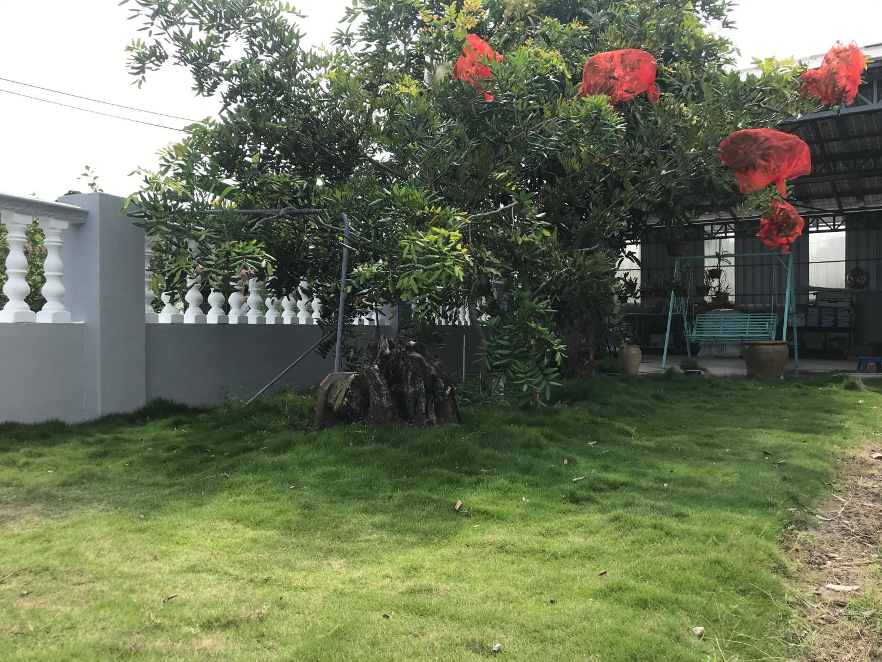 Bungalow with Garden View photo 3