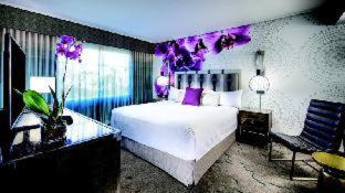 Quarto #25638318