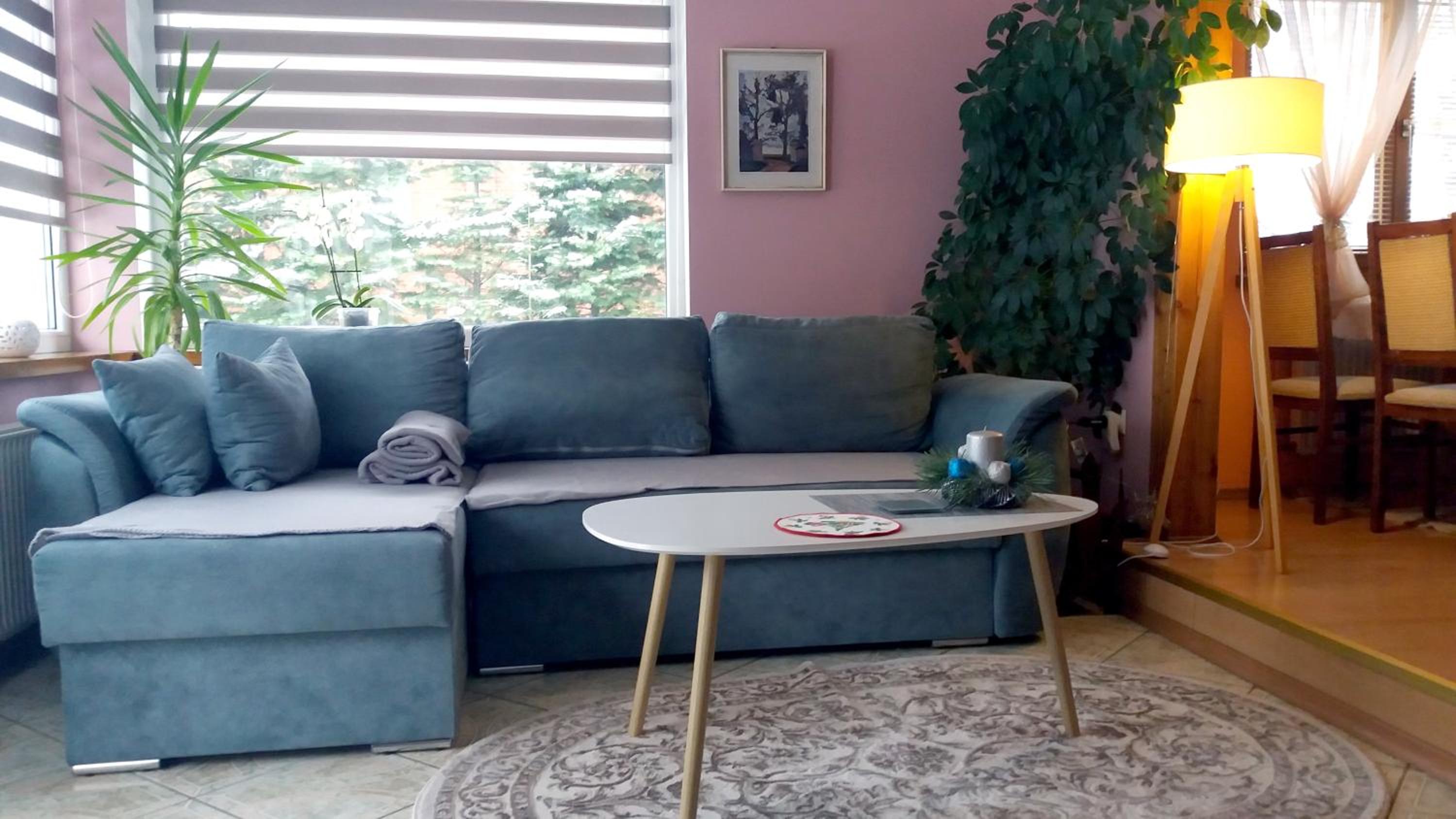 One-Bedroom House photo 1