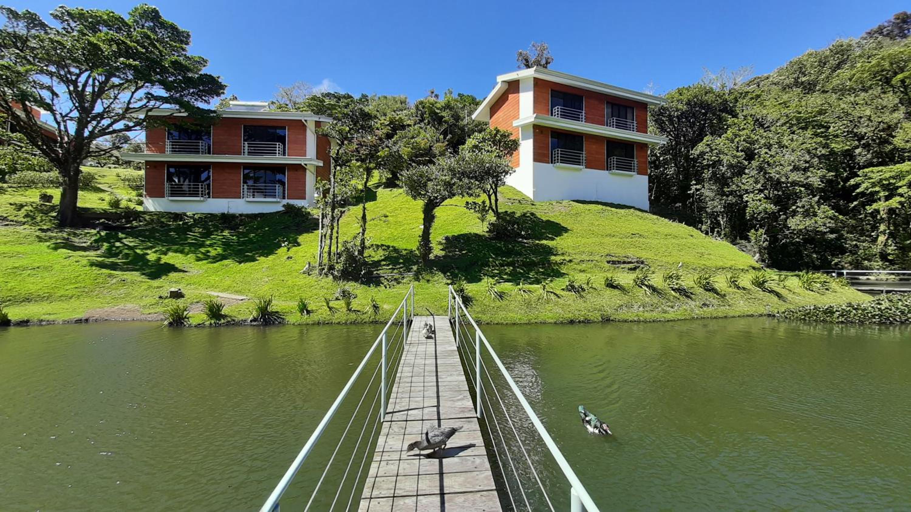 Double Room with Balcony - Photo 10