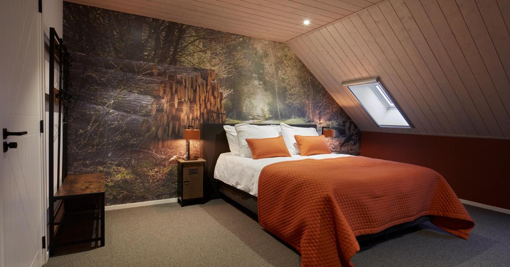 Deluxe Double or Twin Room photo 1