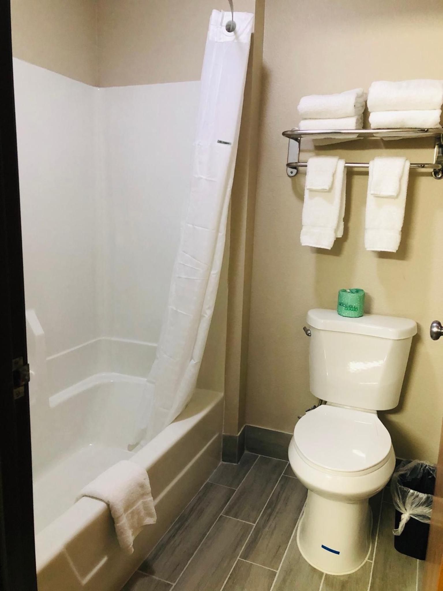 Deluxe King Studio Suite - Non-Smoking - Photo 2