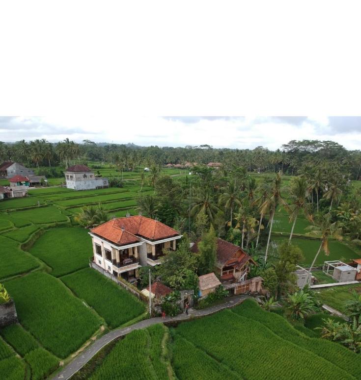 Deluxe Single Room with Balcony photo 2