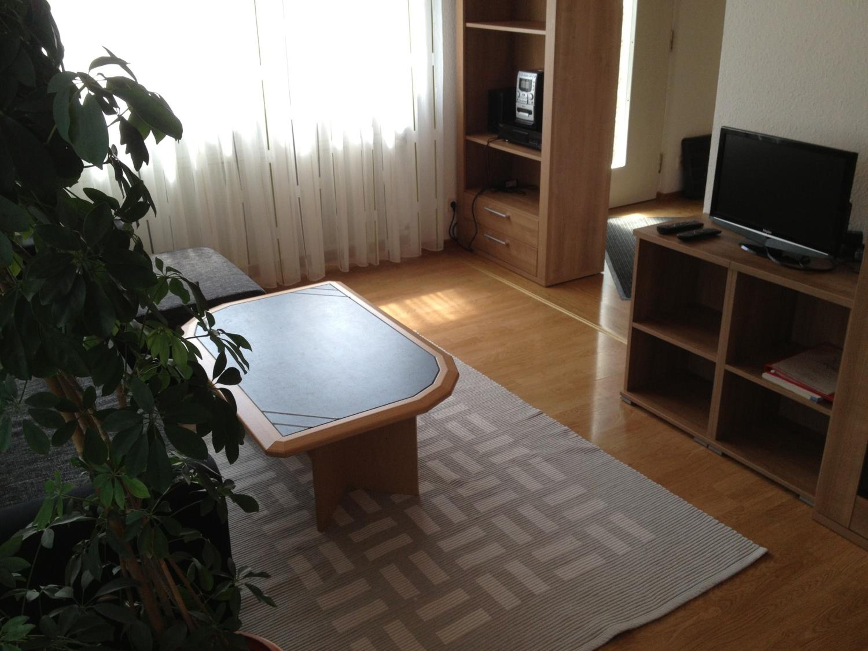 Apartment with Terrace photo 2