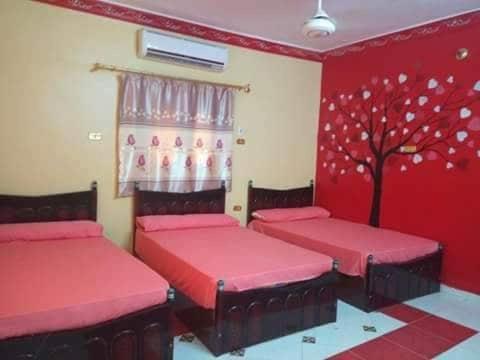 Three-Bedroom House - Photo 2