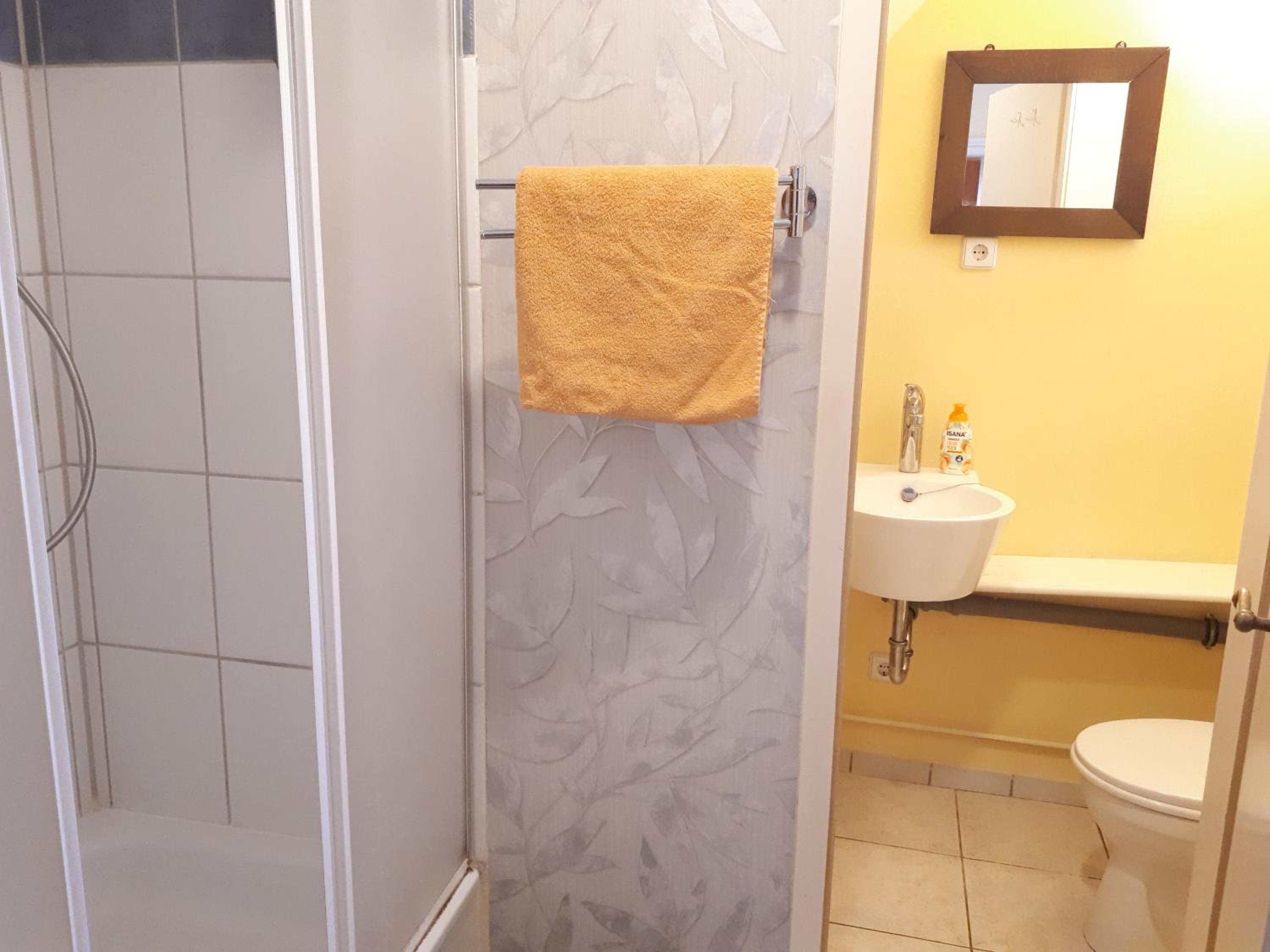 Apartment with Shower photo 2