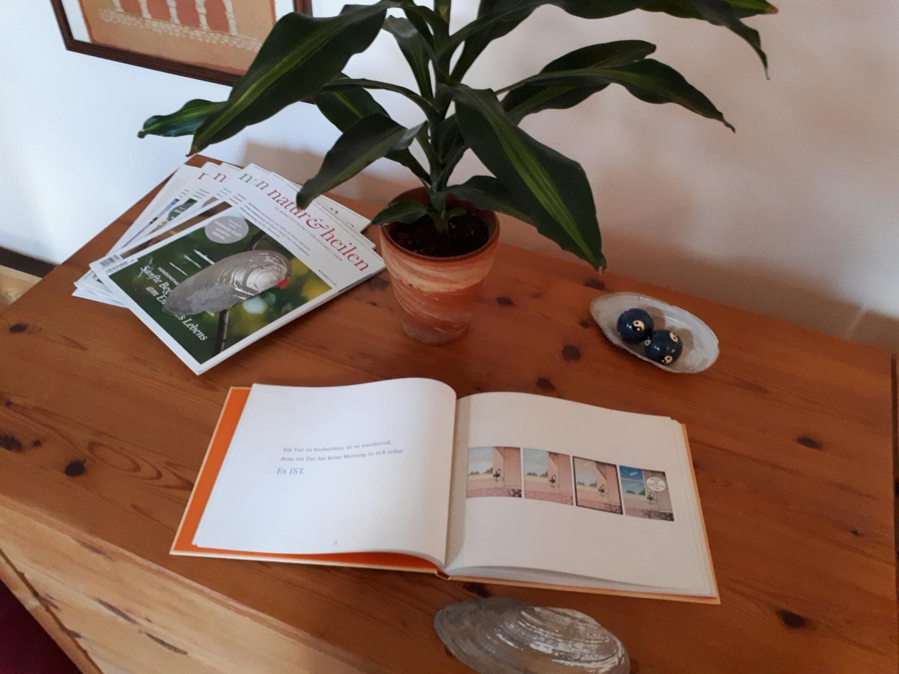 Ferienhaus photo 2