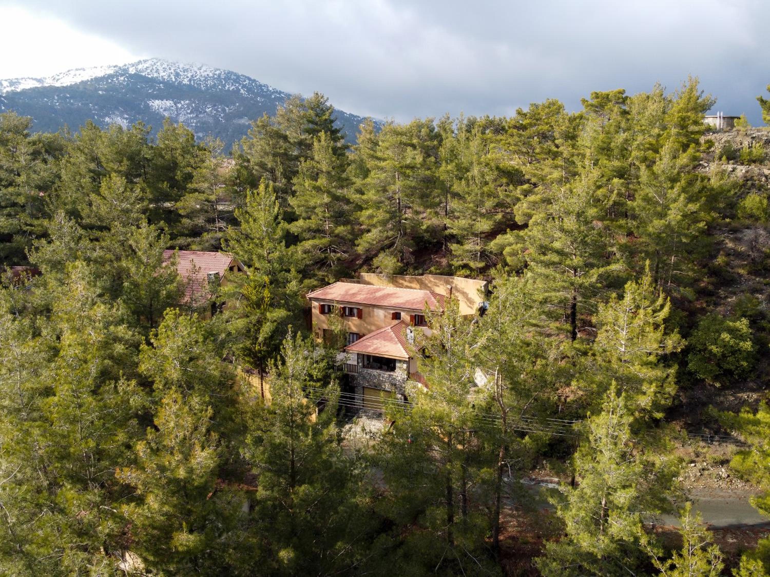 Superior Chalet photo 3