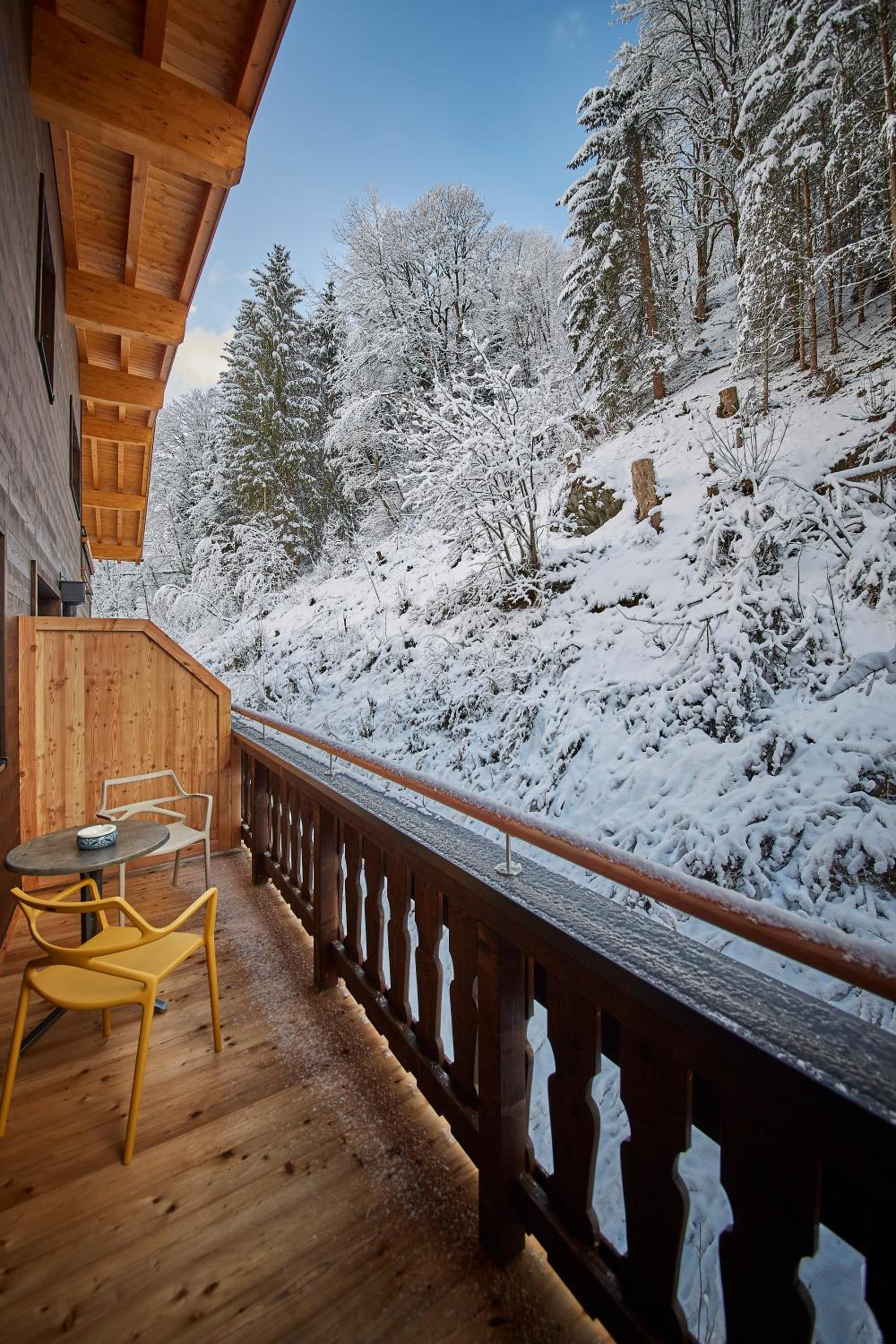 Deluxe Two-Bedroom Apartment with Infrared Sauna and Forest View photo 3