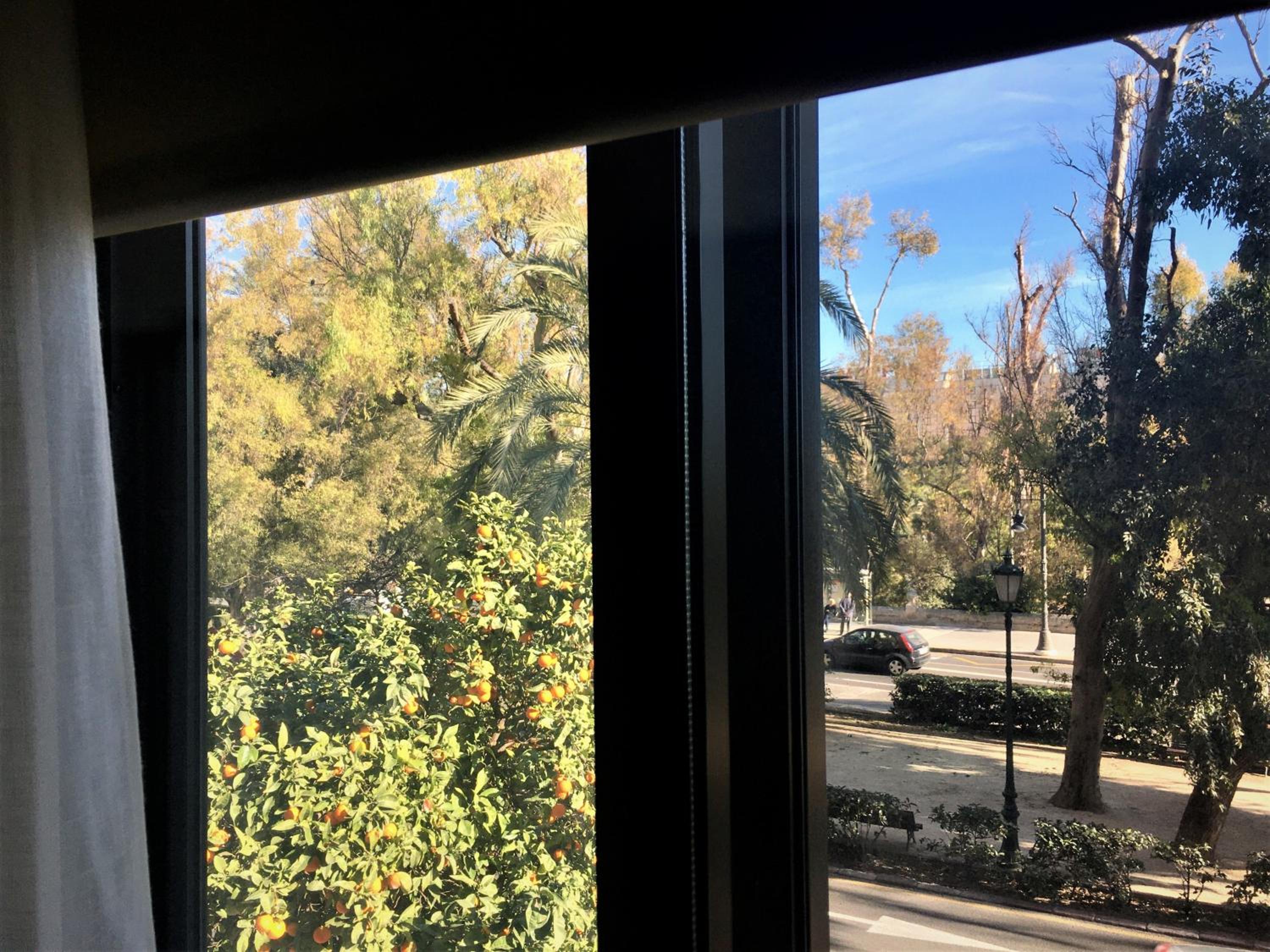Superior Double Room with Views - Photo 107