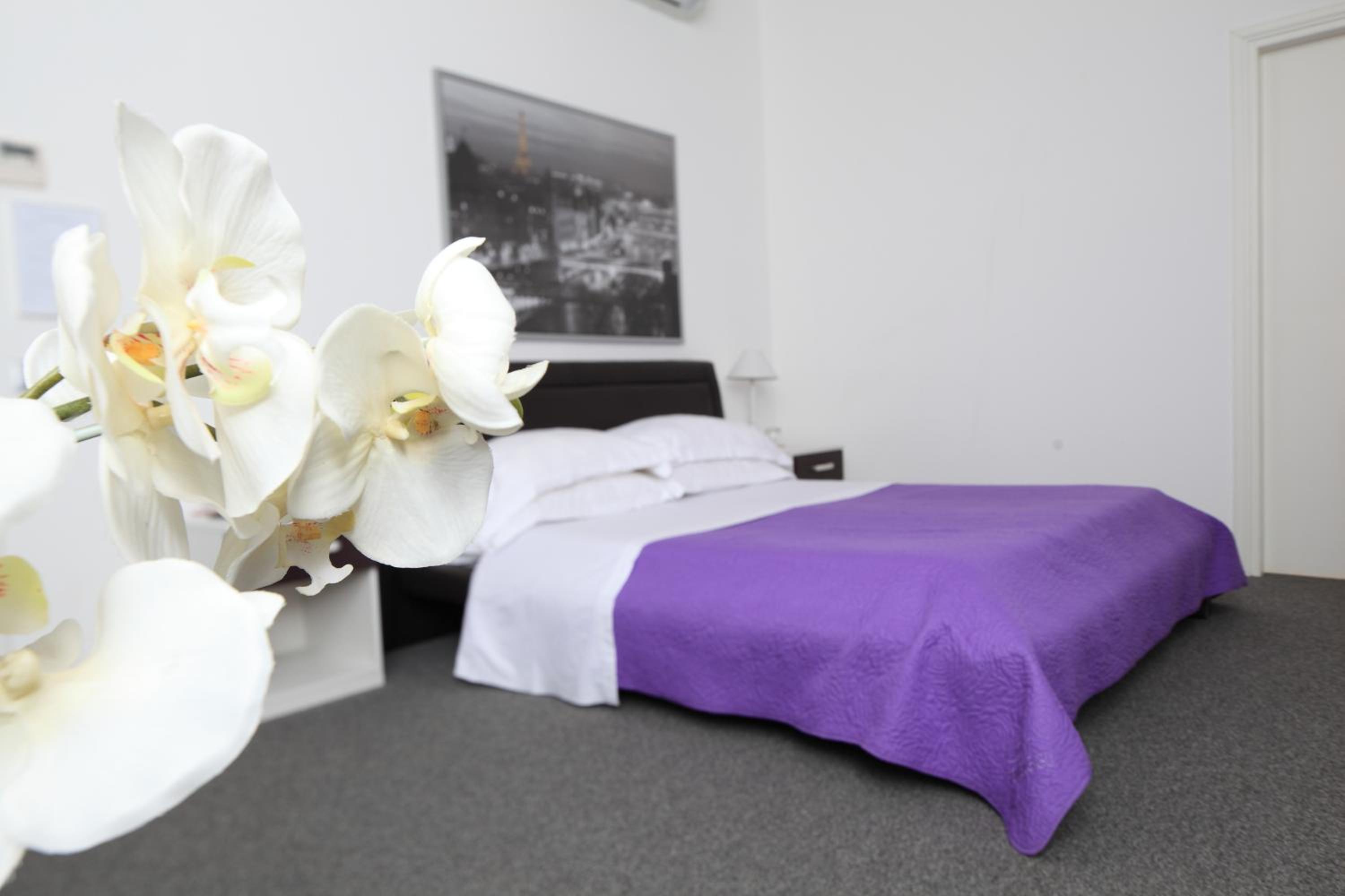 Deluxe Double or Twin Room photo 2