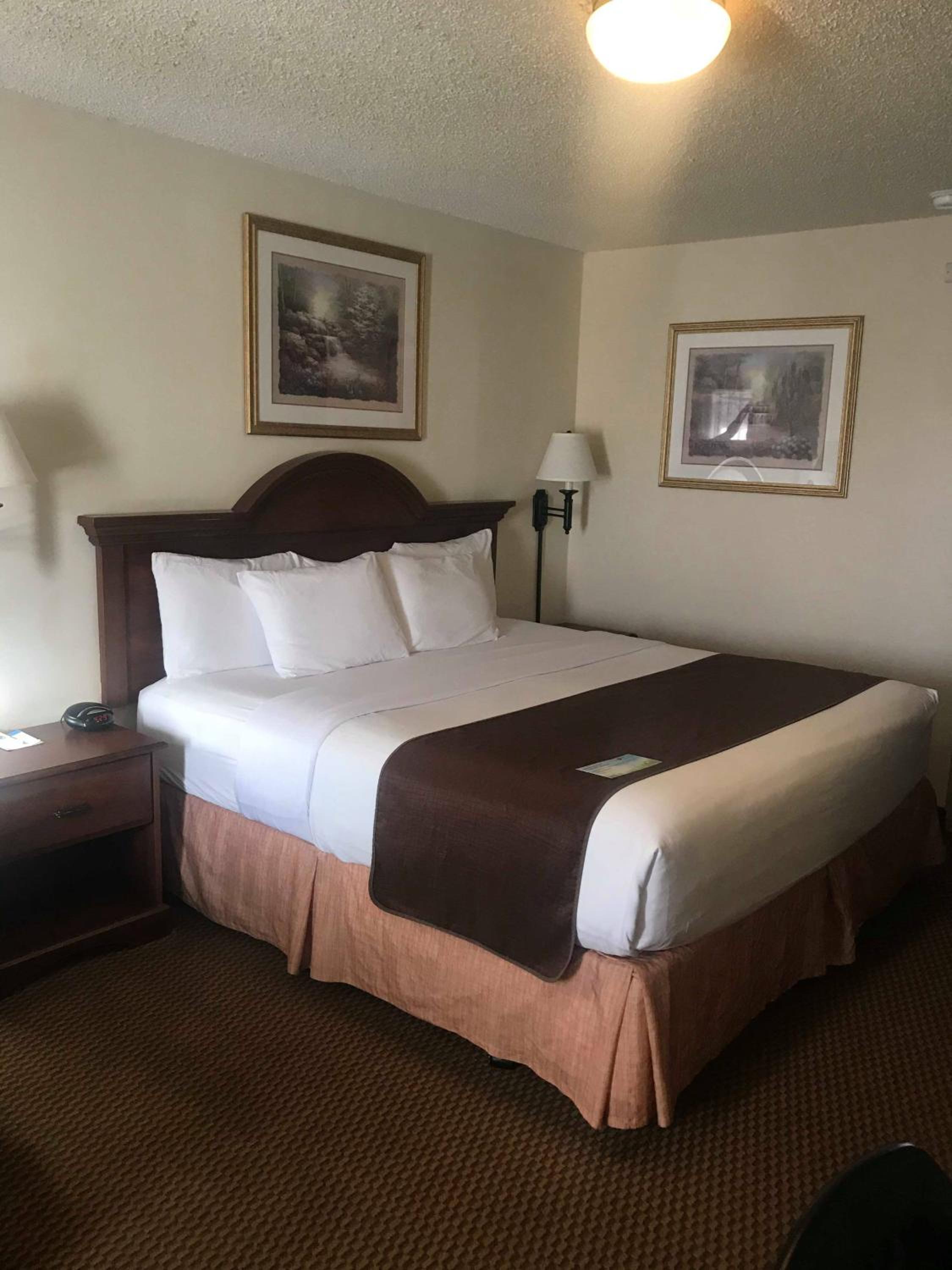King Room - Non-Smoking - Photo 11