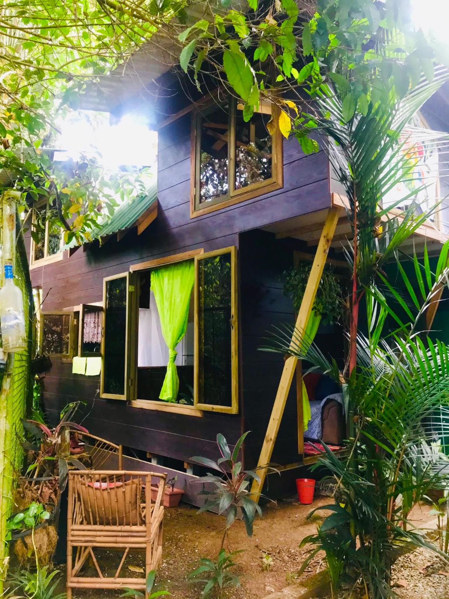 Studio with Garden View photo 2