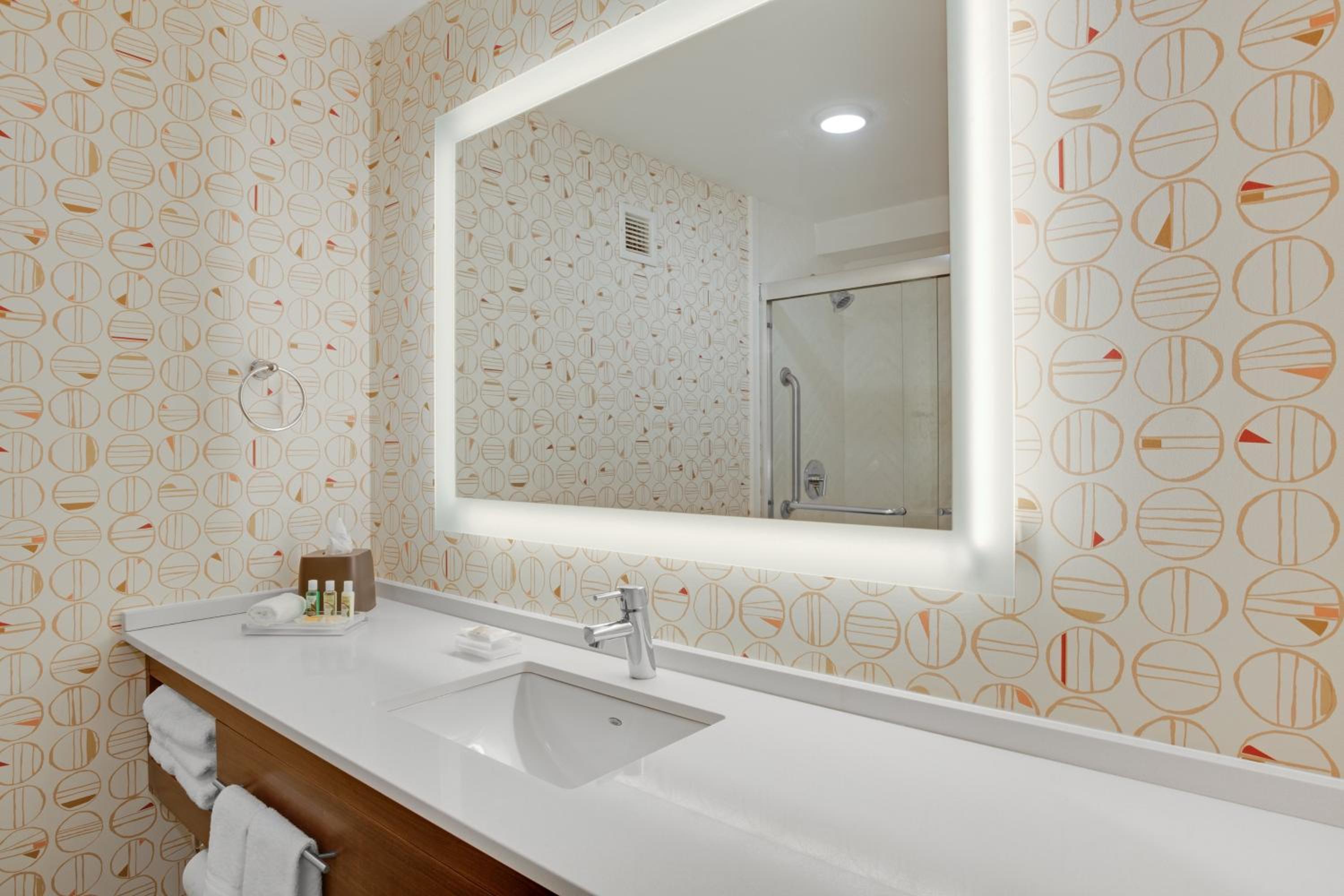 Holiday Inn Roanoke Airport - Conference CTR by IHG, Photo 5