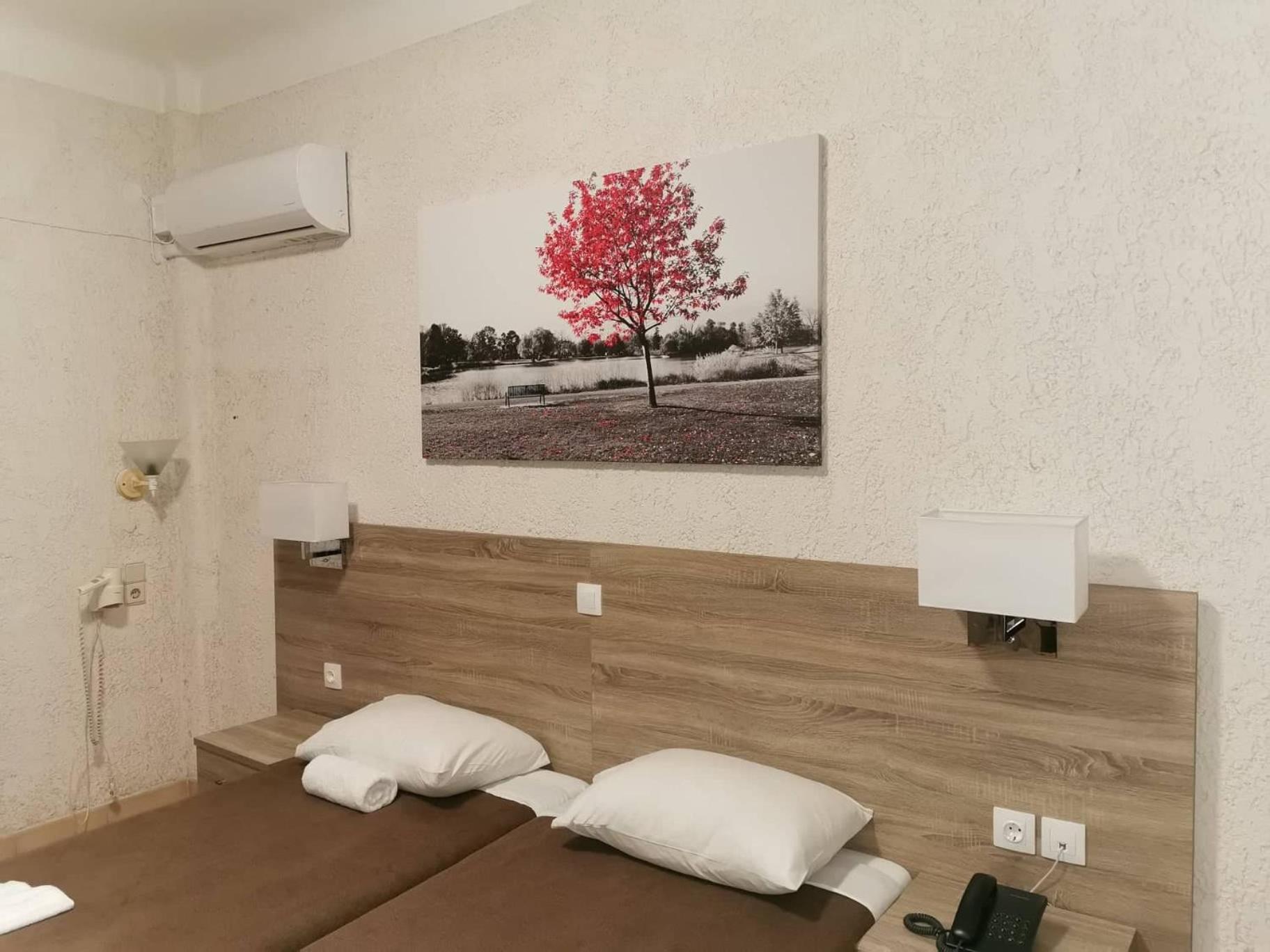 Twin Room - Photo 11