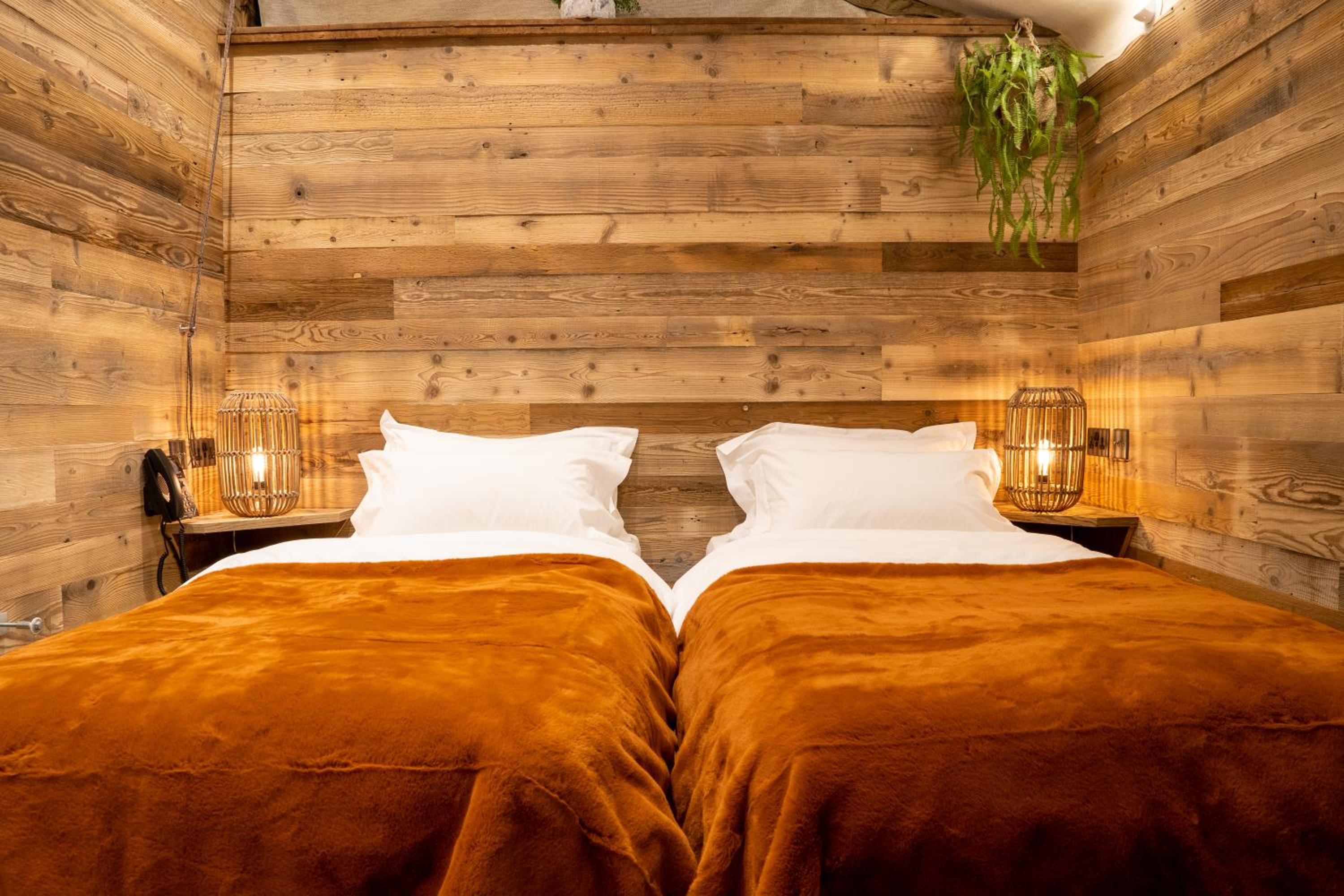 Deluxe Double or Twin Room photo 3