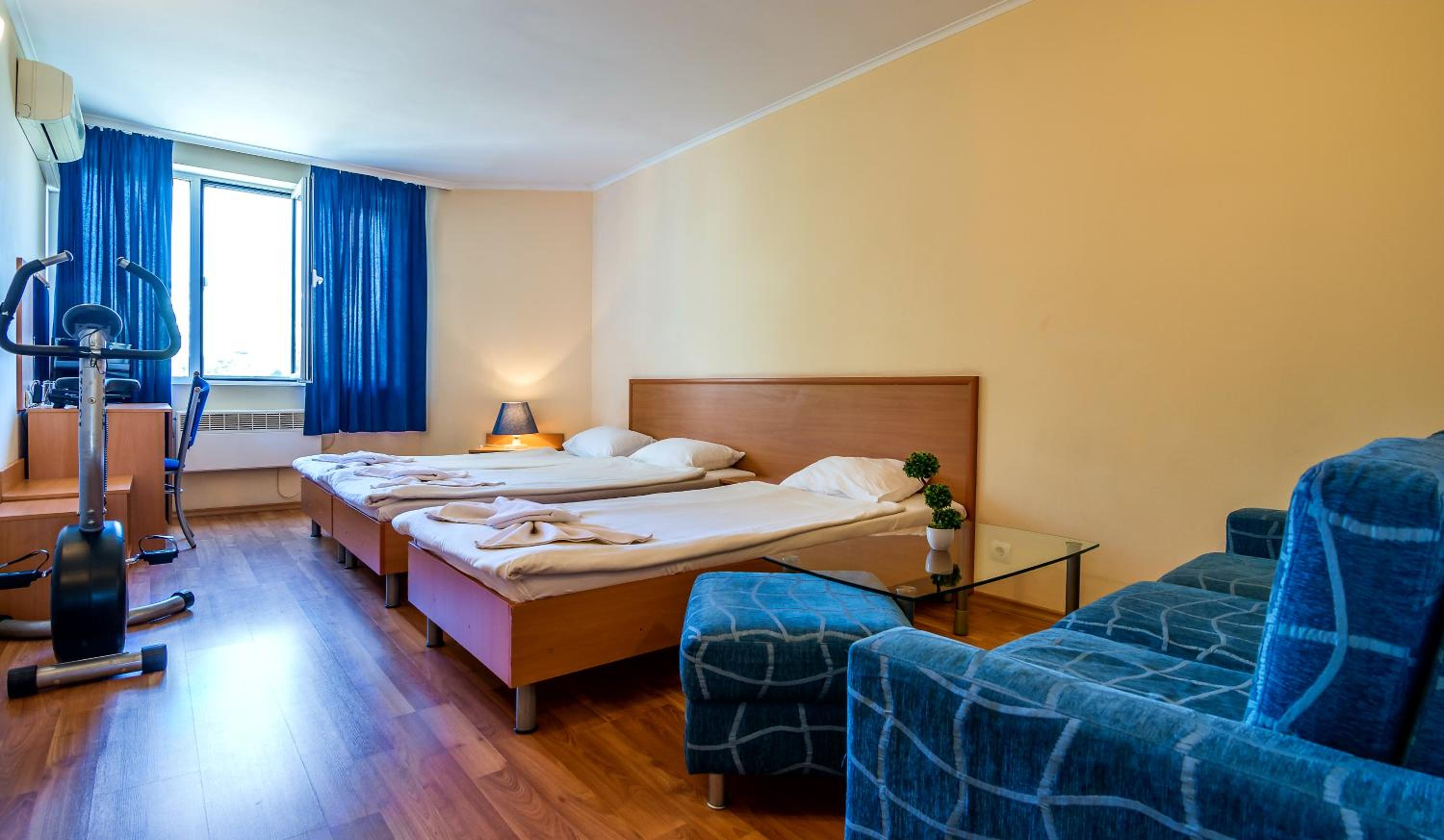 Deluxe Double or Twin Room