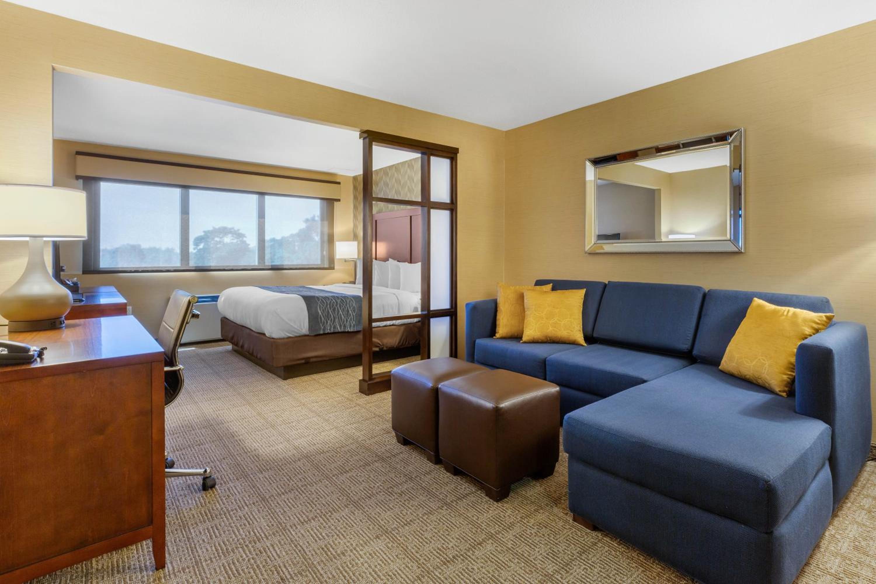 King Suite - Accessible/Non-Smoking