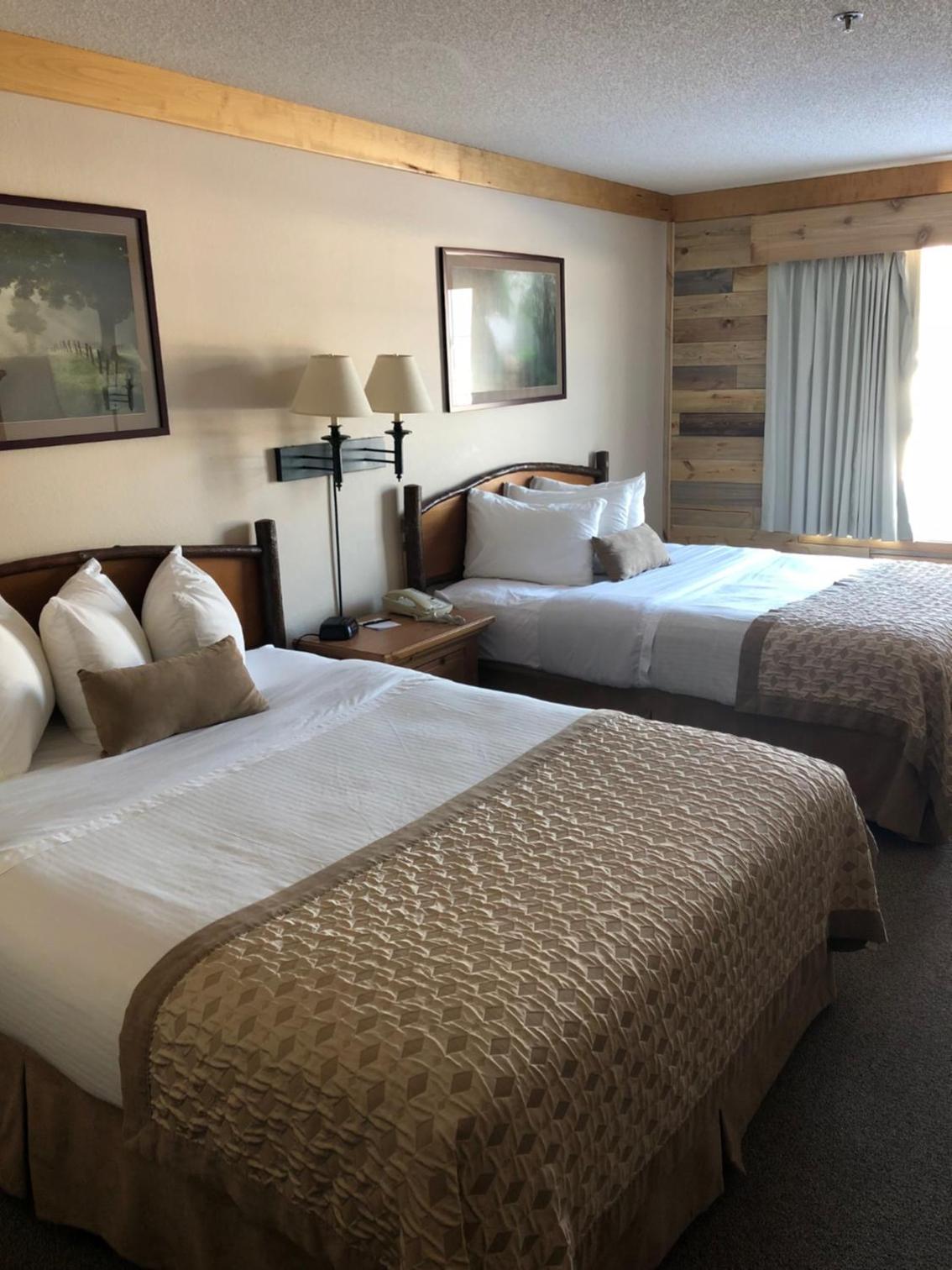 Double Queen Room photo 2