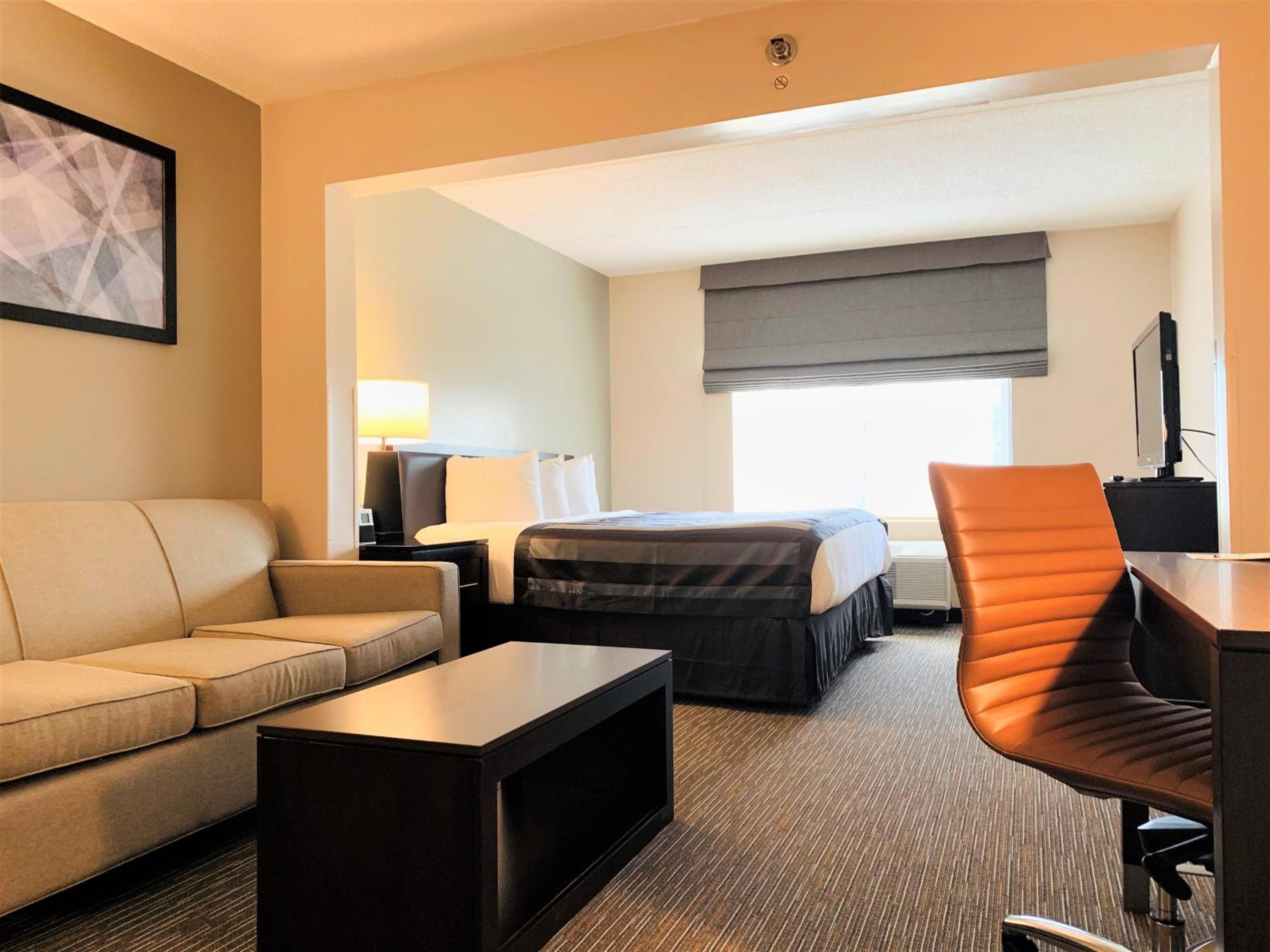 King Room - Non-Smoking - Photo 4