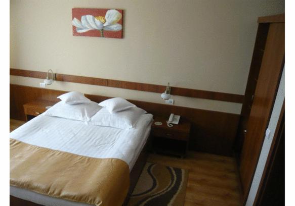 Suite - Photo 3