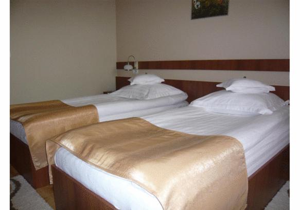 Twin Room - Photo 9