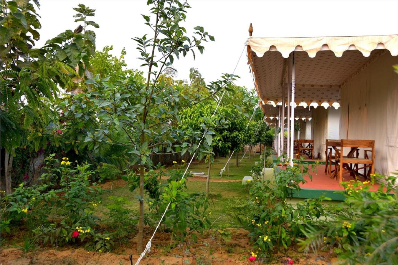 Tent - Photo 5