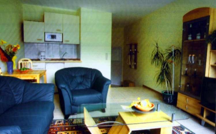 One-Bedroom Apartment photo 3