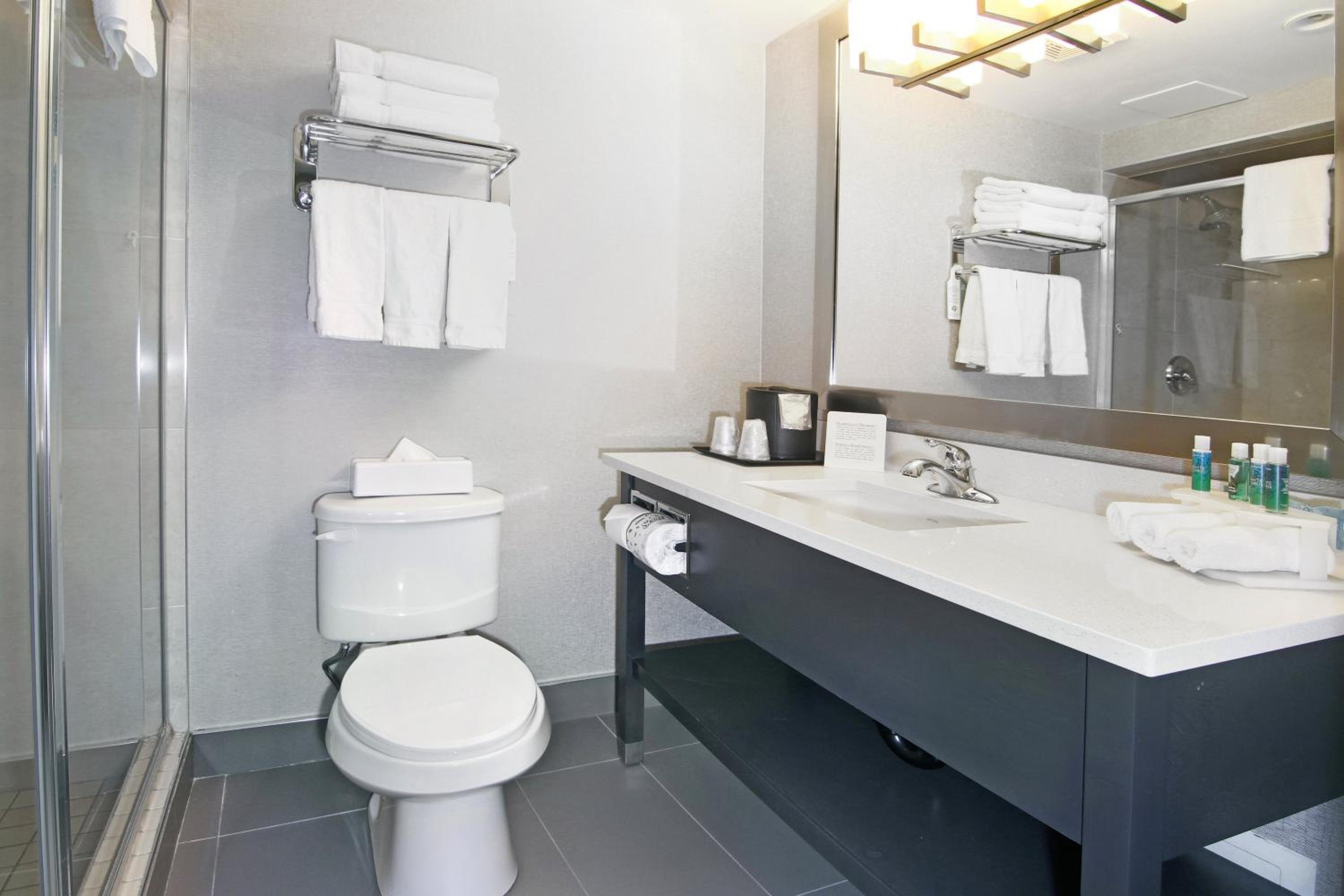 Deluxe King Suite - Photo 4