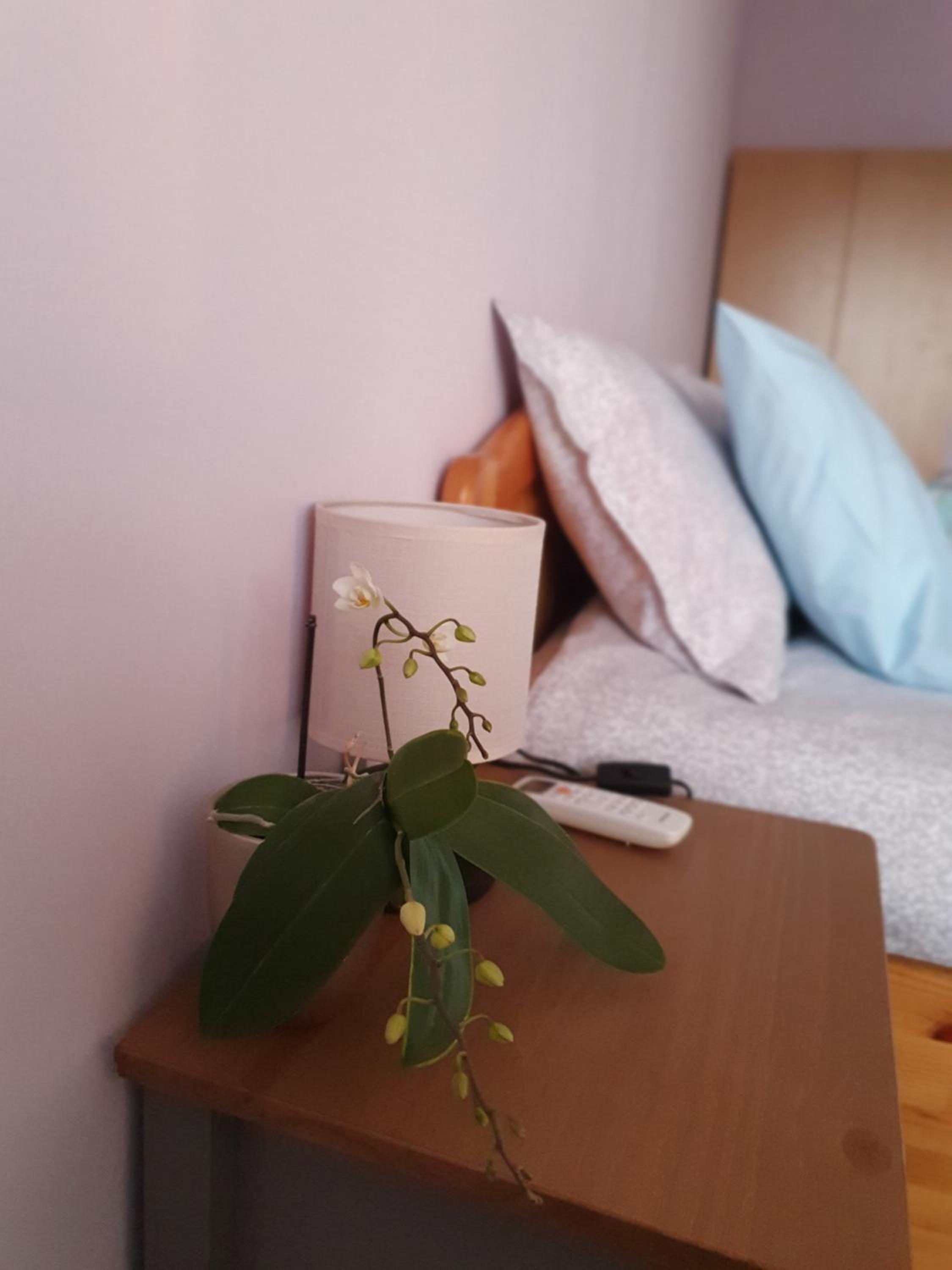 Two-Bedroom Apartment - Photo 1