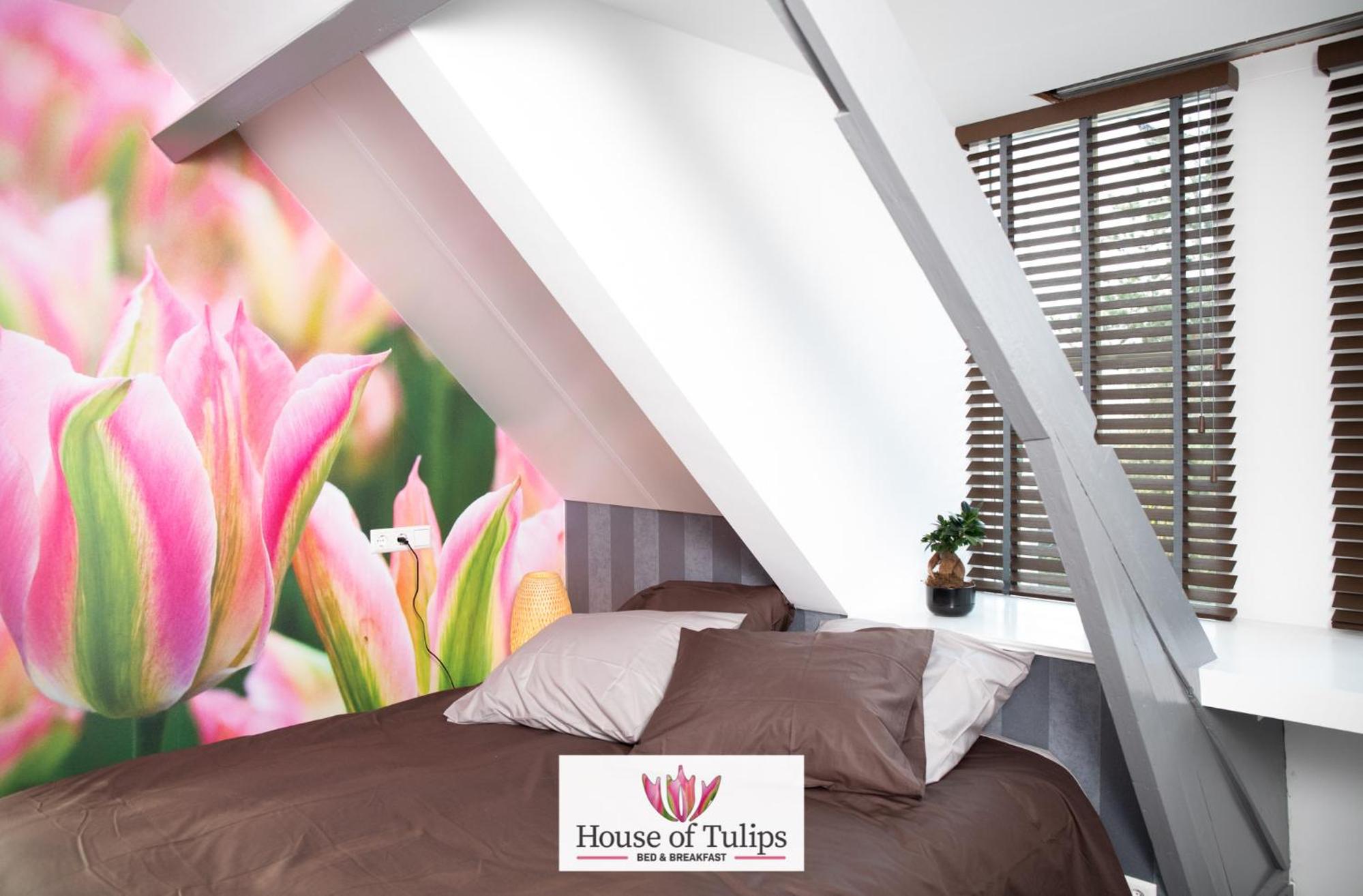 Deluxe Queen Room - Photo 11