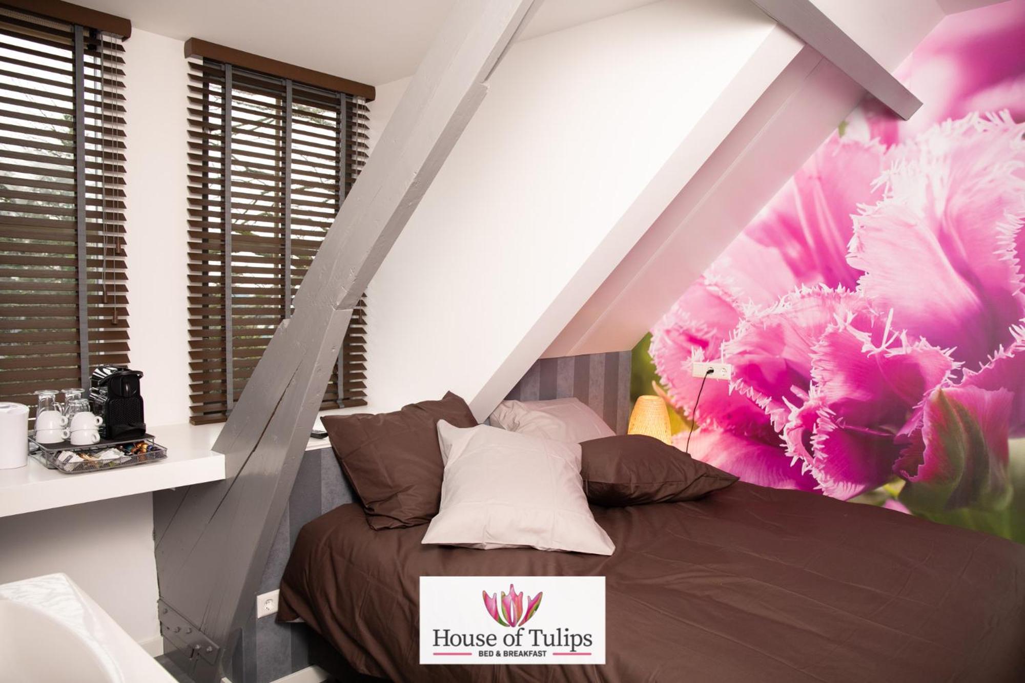 Deluxe Queen Room - Photo 1