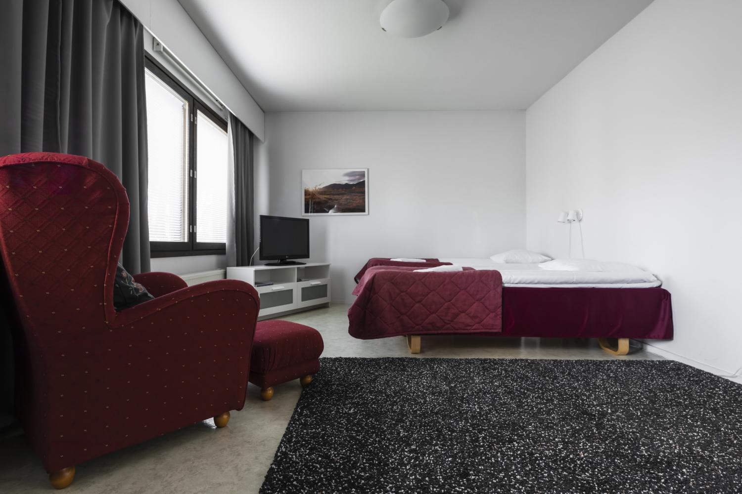 Economy One-Bedroom Apartment photo 3